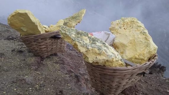 WhatsApp Image 2024-09-21 at 12.20.50