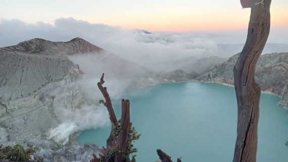 WhatsApp Image 2024-12-28 at 11.43.06