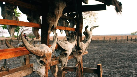 WhatsApp Image 2025-06-26 at 14.29.31