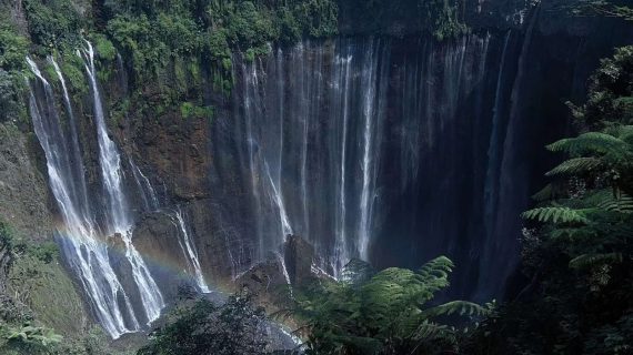 WhatsApp Image 2023-11-01 at 14.01.41