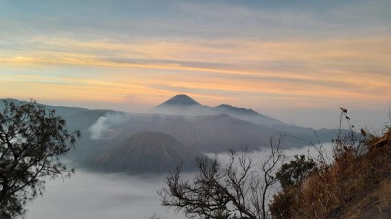 WhatsApp Image 2023-12-29 at 14.32.43