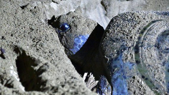 WhatsApp Image 2023-12-29 at 14.43.28