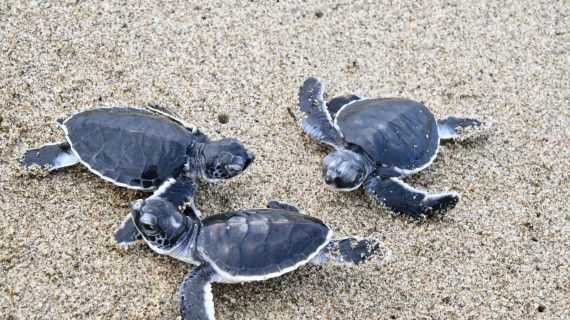 WhatsApp Image 2023-12-29 at 14.43.30 (1)