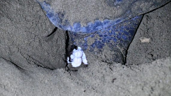 WhatsApp Image 2023-12-29 at 14.43.32