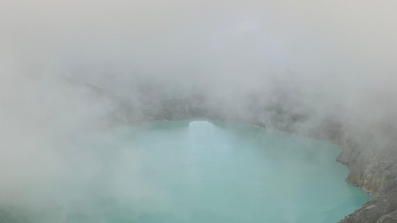 WhatsApp Image 2025-01-20 at 12.11.29