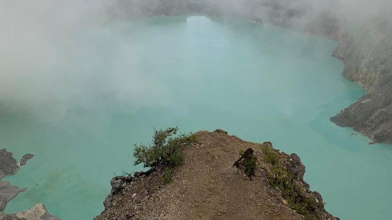 WhatsApp Image 2025-01-20 at 12.14.05